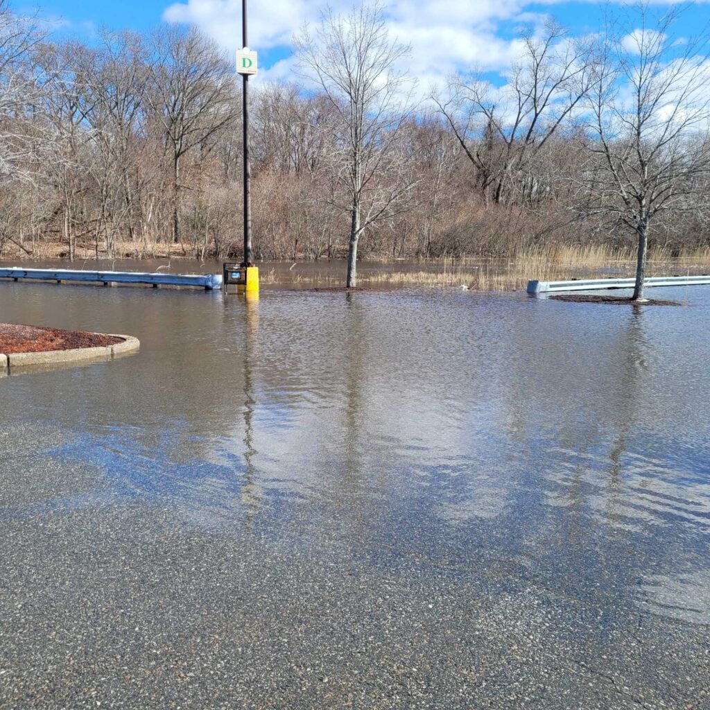 a flooded area with a pole and trees (MyCoast AI)