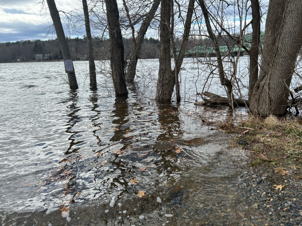 a body of water with trees around it (MyCoast AI)