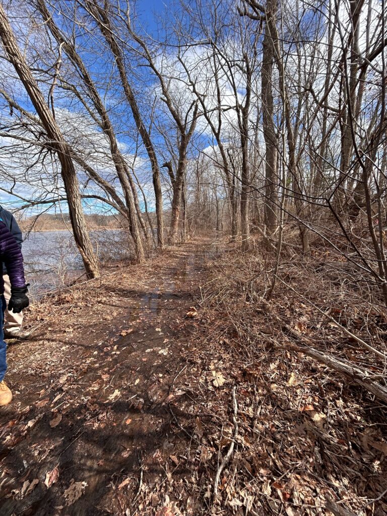 a person walking on a path in a wooded area (MyCoast AI)