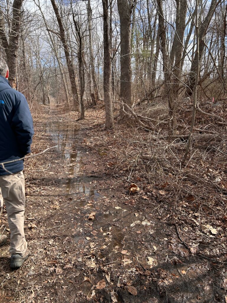 a person walking on a path in a forest (MyCoast AI)