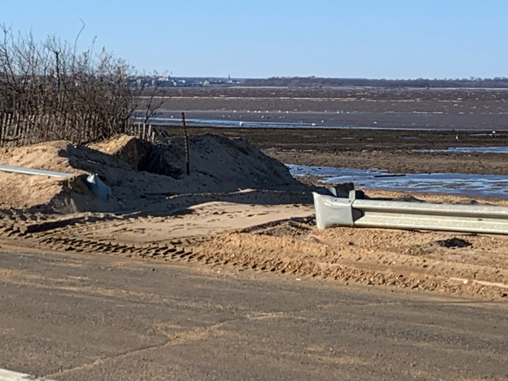a bench sits on the side of a beach (MyCoast AI)
