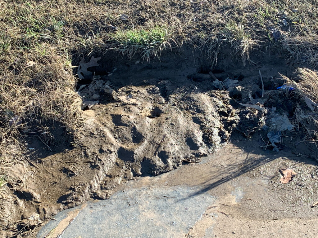 a hole in the ground (MyCoast AI)