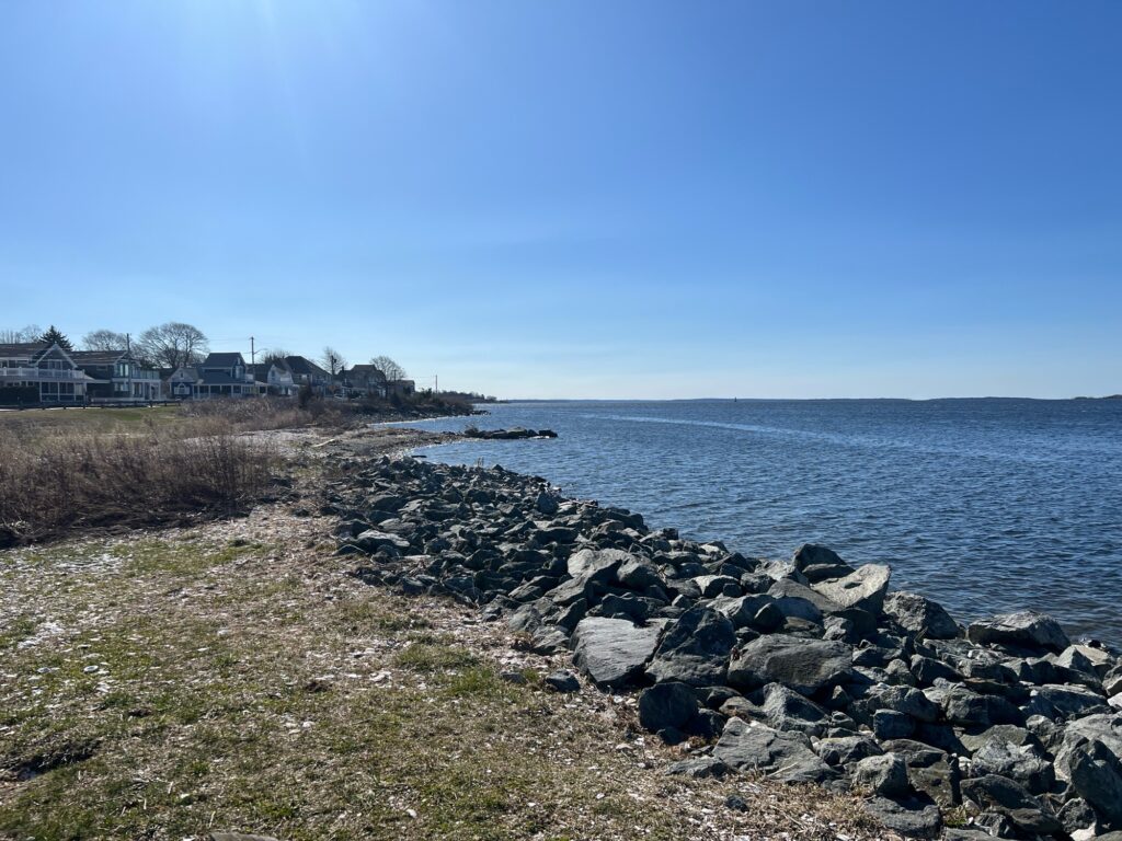 a rocky beach with houses in the background (MyCoast AI)