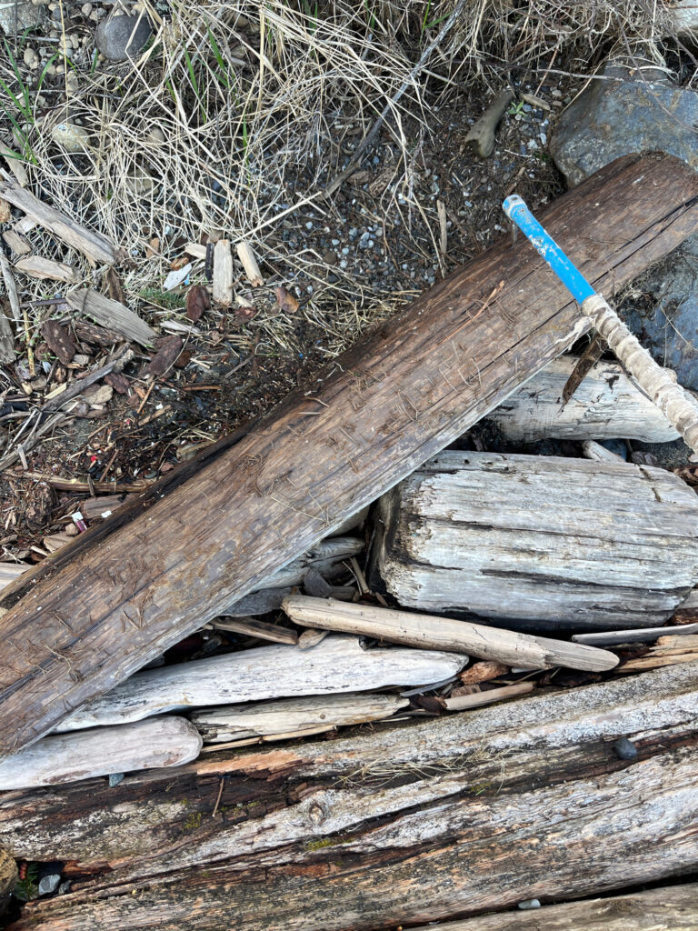 a pile of wood (MyCoast AI)