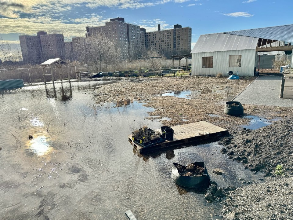 a flooded area with buildings in the background (MyCoast AI)