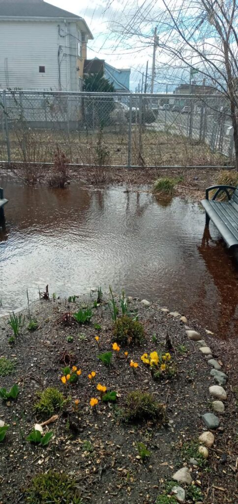a pond with a fence and flowers (MyCoast AI)