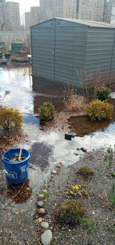 a pond with a building in the background (MyCoast AI)
