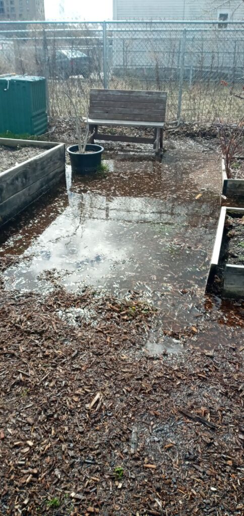 a bench in a flooded area (MyCoast AI)
