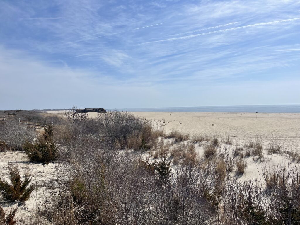 a field of dry grass (MyCoast AI)