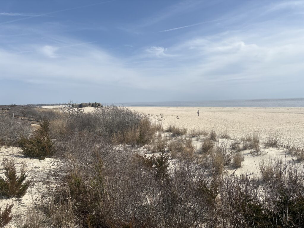 a field of dry grass (MyCoast AI)