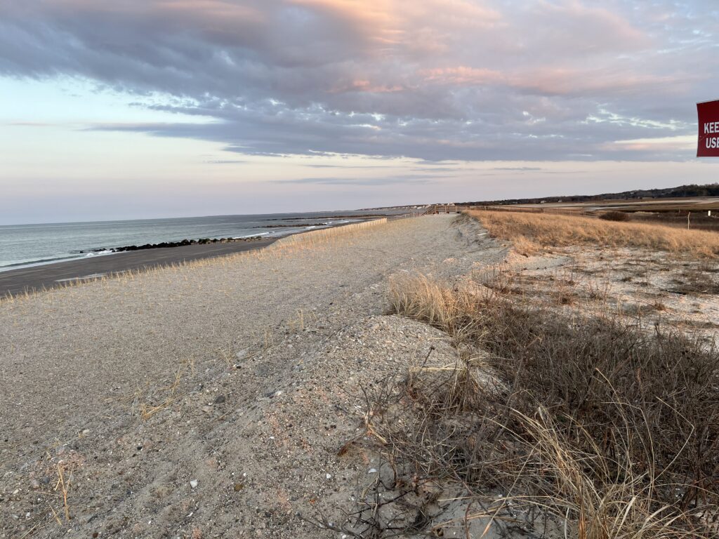 a beach with sand and water (MyCoast AI)