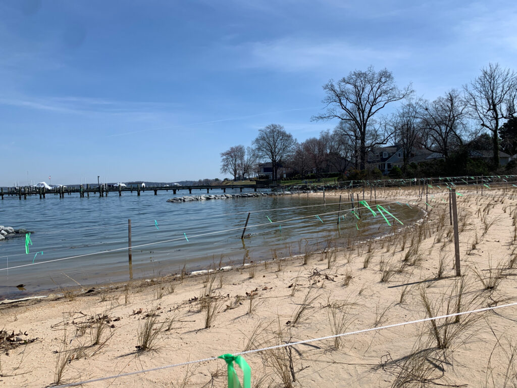 a beach with a body of water and trees (MyCoast AI)