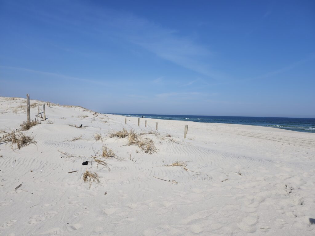 a sandy beach with a fence and water in the background (MyCoast AI)