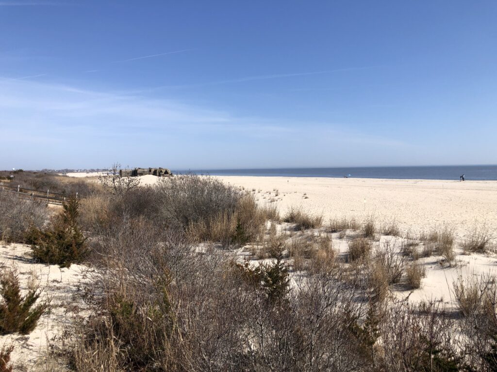 a sandy beach with bushes and trees (MyCoast AI)