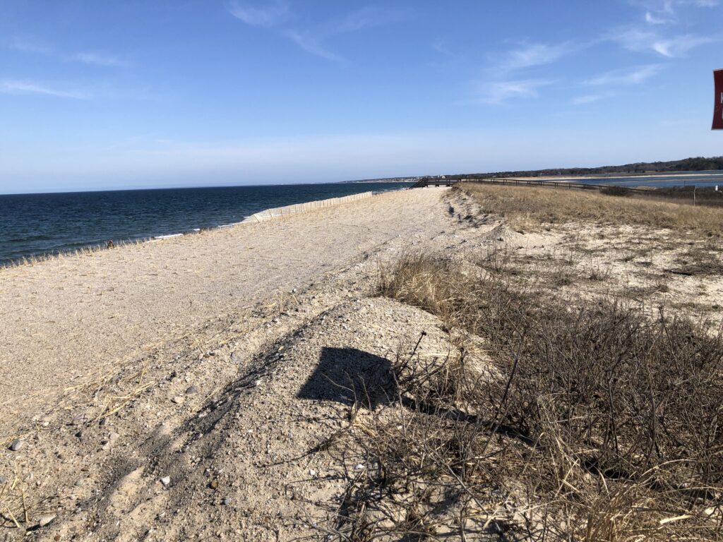 a sandy beach with water and blue sky (MyCoast AI)