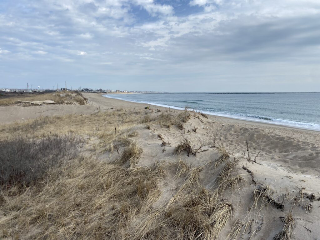 a sandy beach with water and blue sky (MyCoast AI)