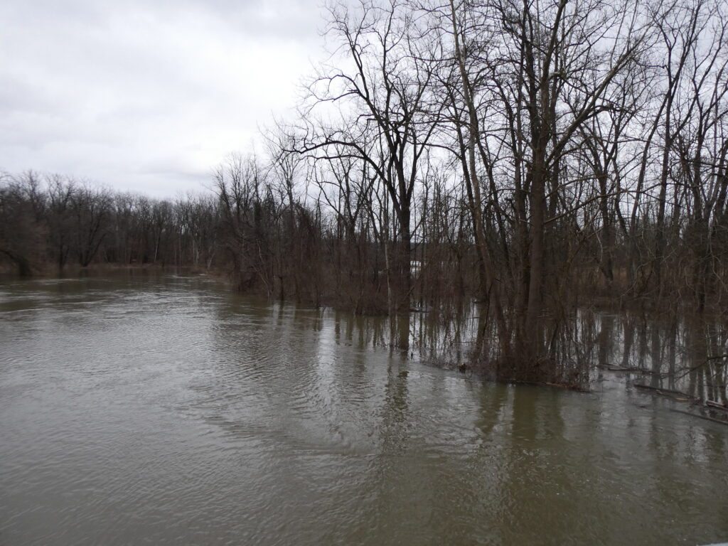 a body of water with trees around it (MyCoast AI)