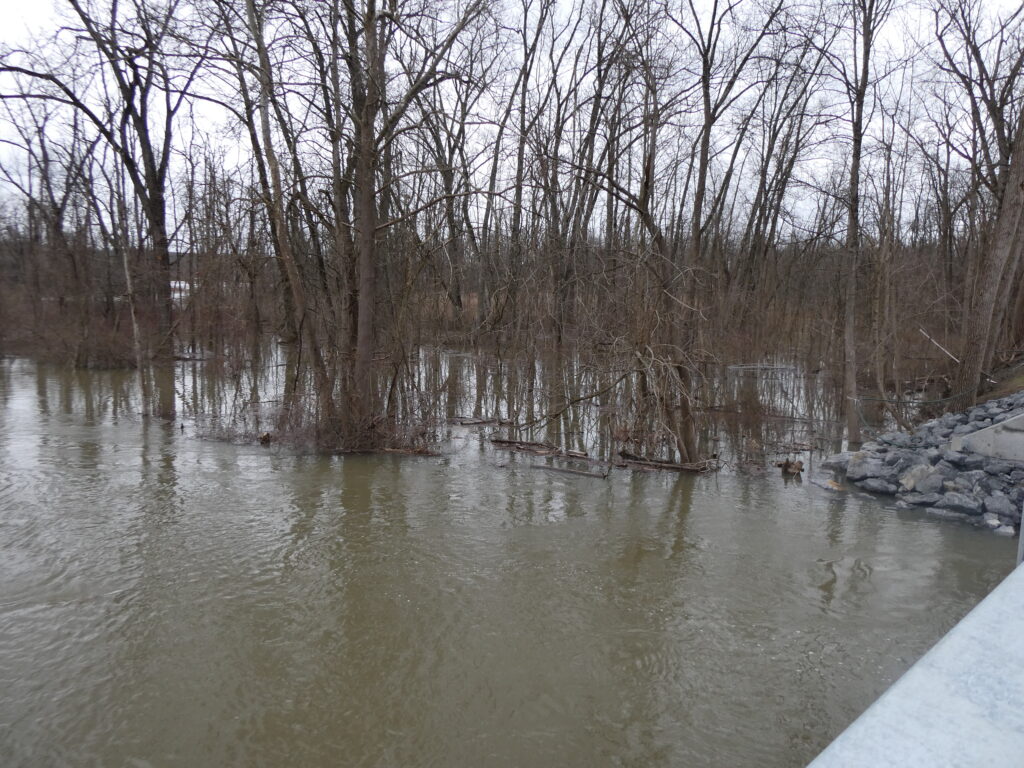 a river with trees on the side (MyCoast AI)