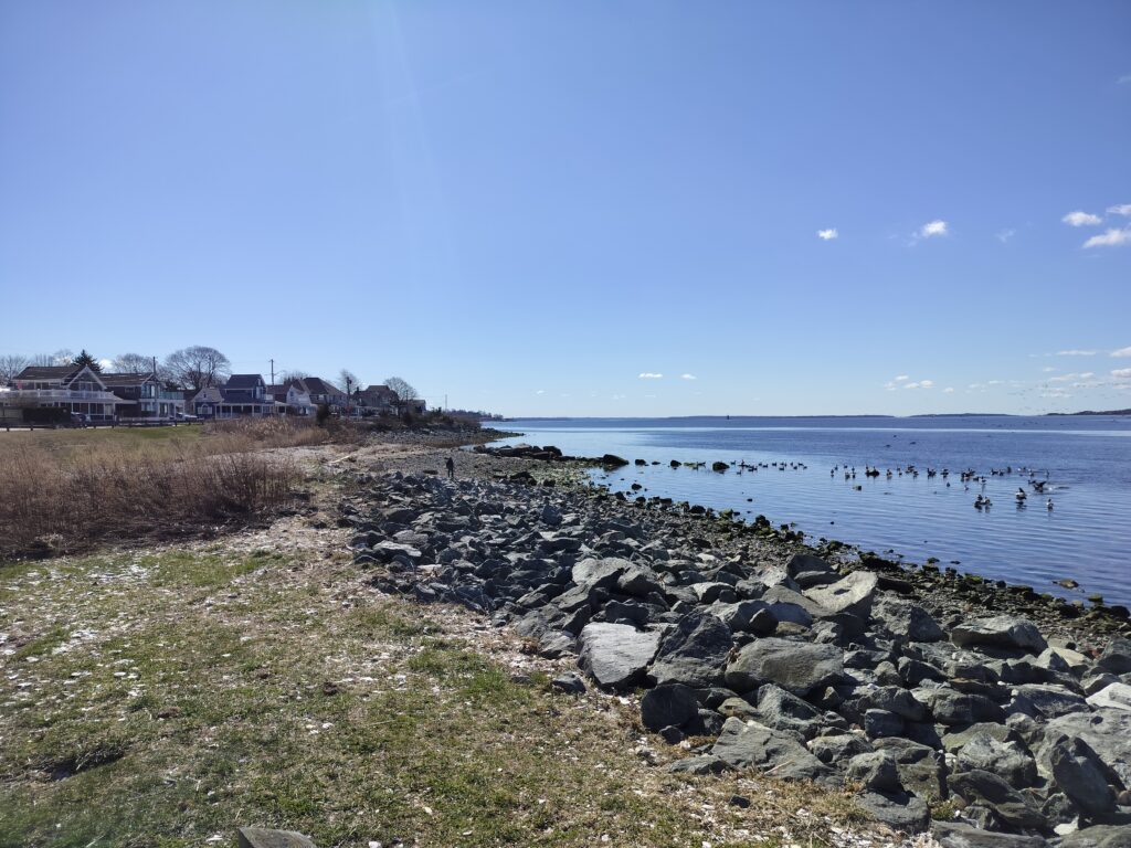 a rocky beach with a body of water and houses in the background (MyCoast AI)