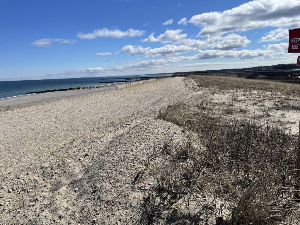 a beach with snow (MyCoast AI)