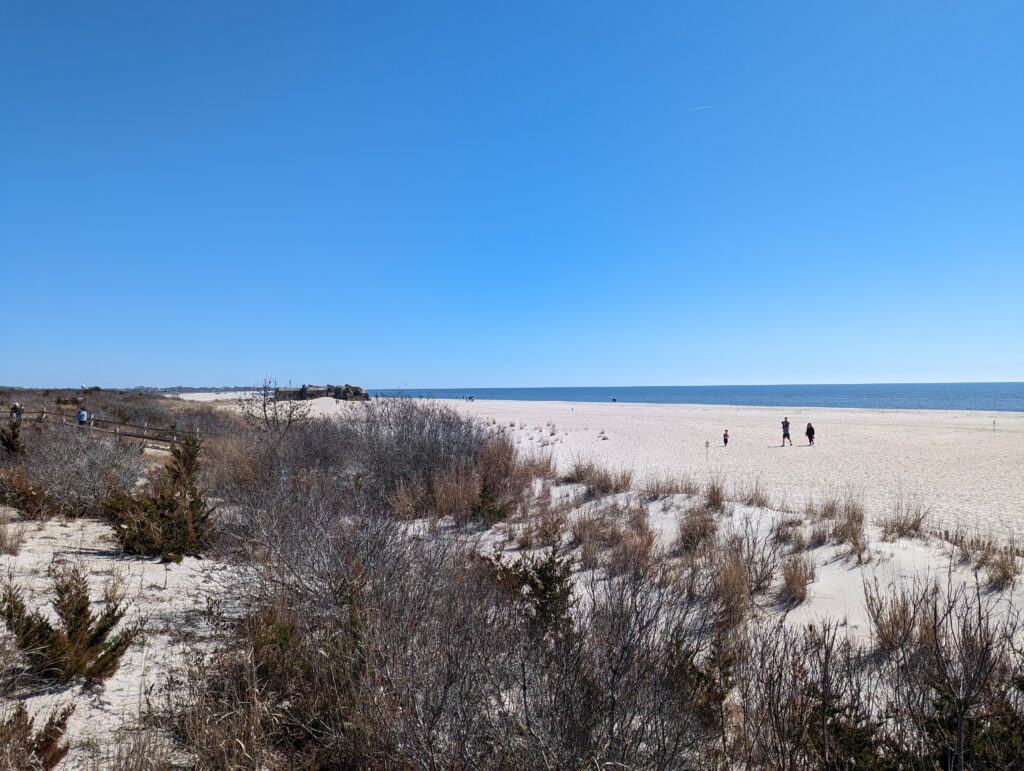 a group of people walking in a field of dry grass (MyCoast AI)