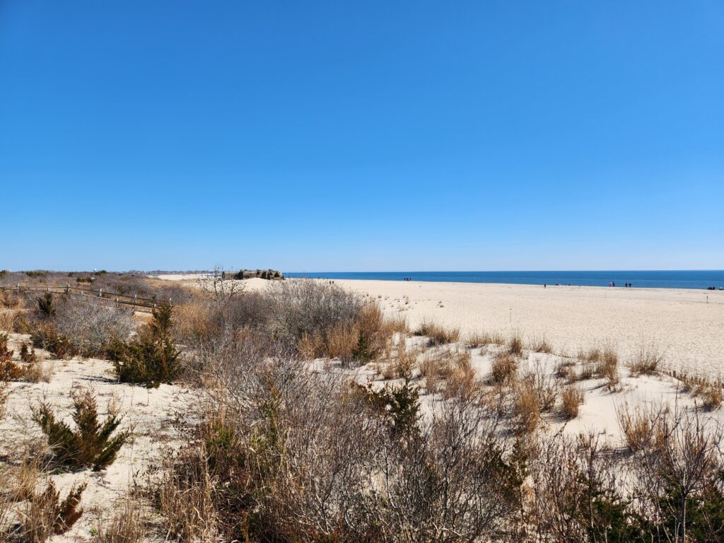 a sandy beach with bushes and trees (MyCoast AI)