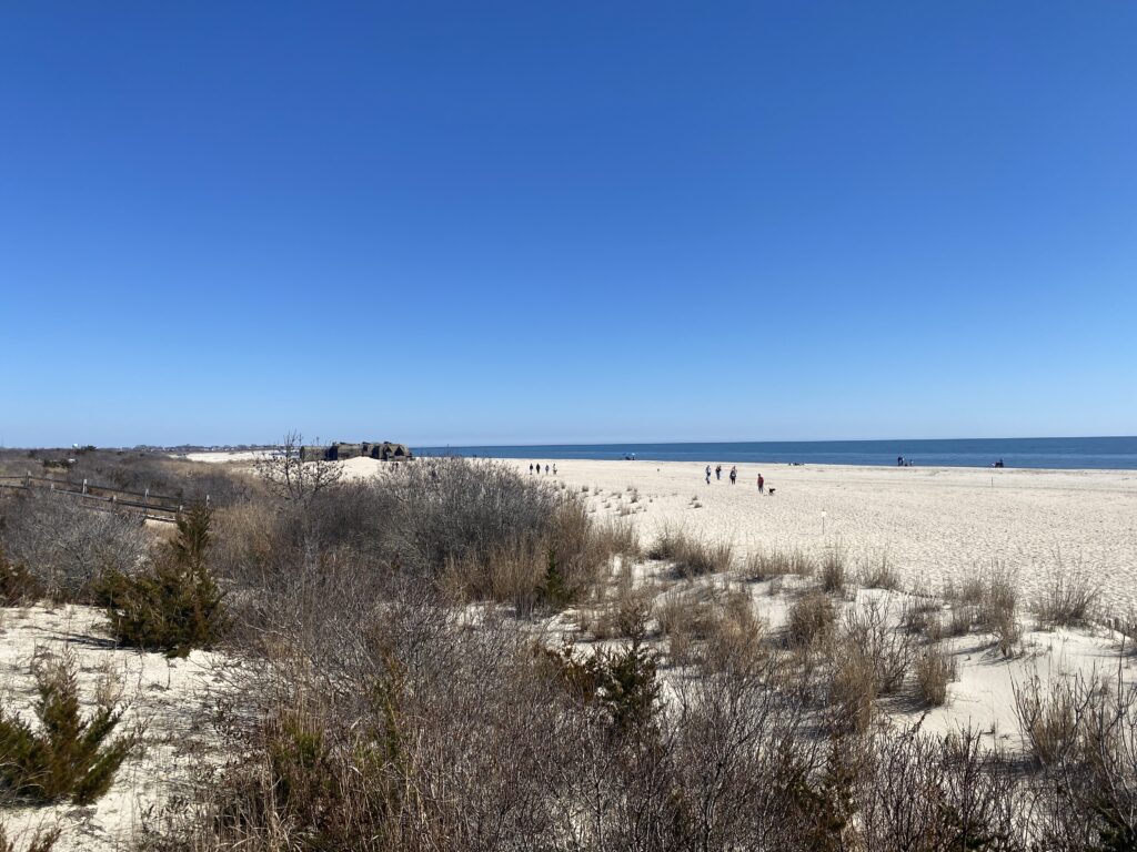 a group of people walking on a beach (MyCoast AI)