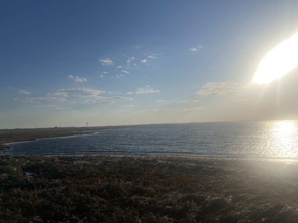 a beach with the sun in the background (MyCoast AI)