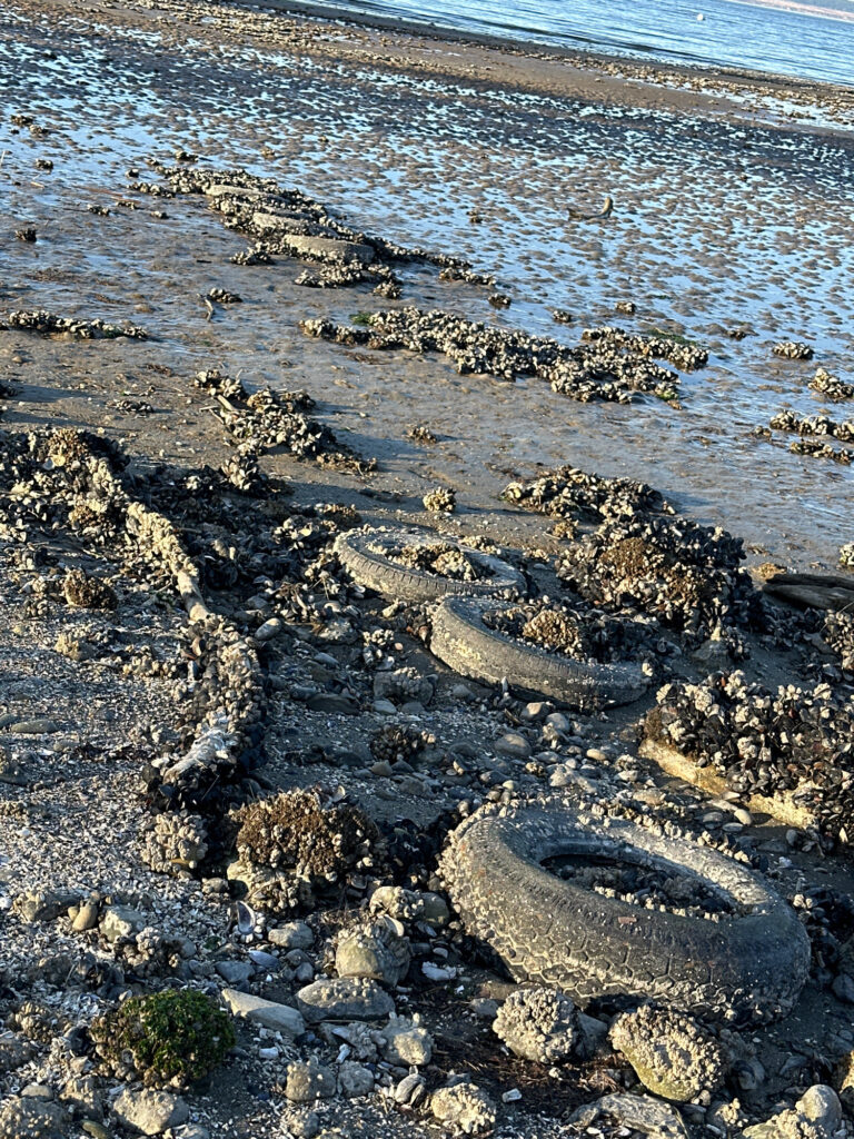 a rocky beach with a hole in it (MyCoast AI)