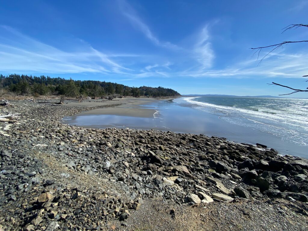 a rocky beach with a body of water and trees in the background (MyCoast AI)