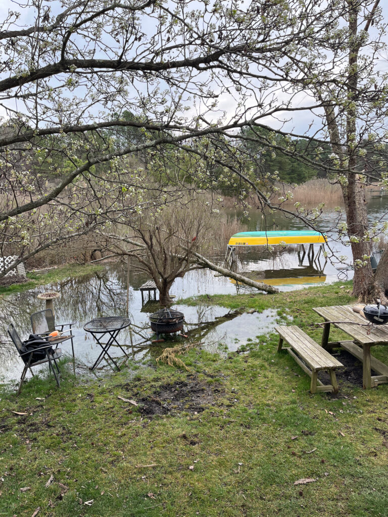 a pond with a bench and trees around it (MyCoast AI)