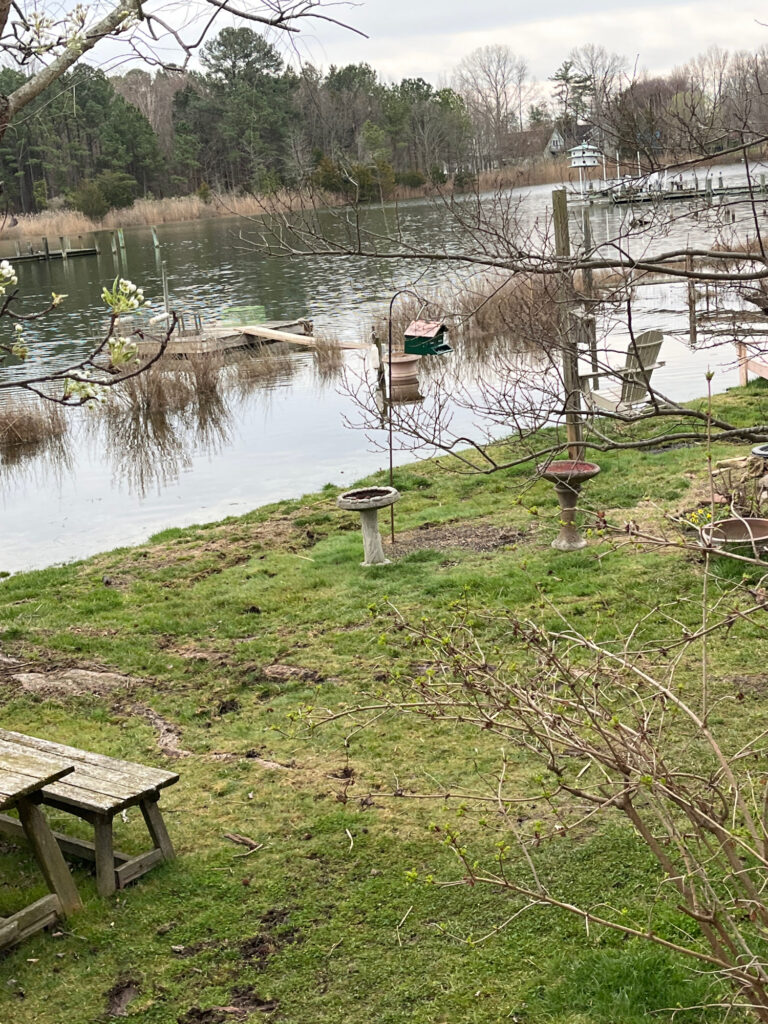 a pond with a picnic table and a bench (MyCoast AI)