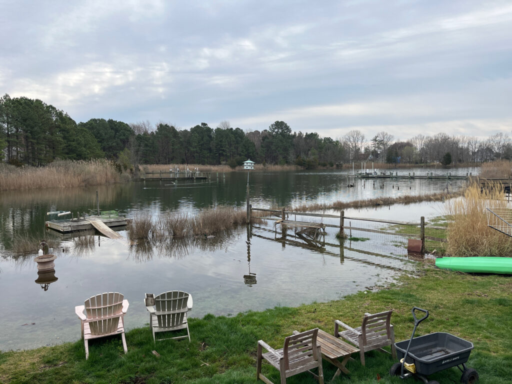 a lake with chairs and a dock (MyCoast AI)