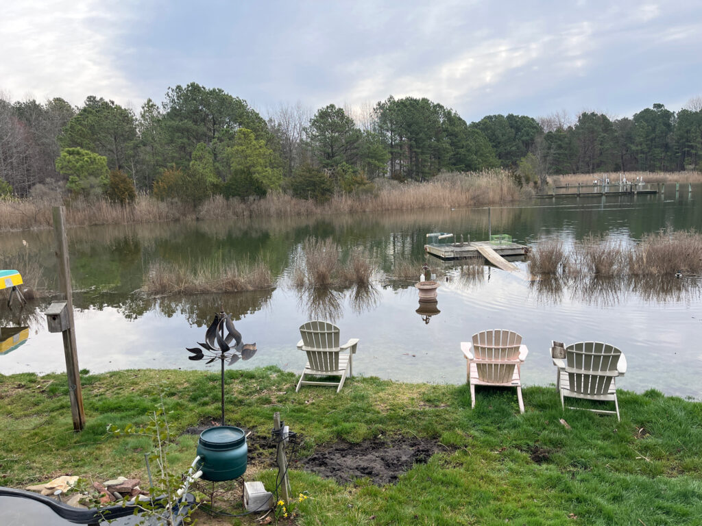 a group of chairs on a dock (MyCoast AI)