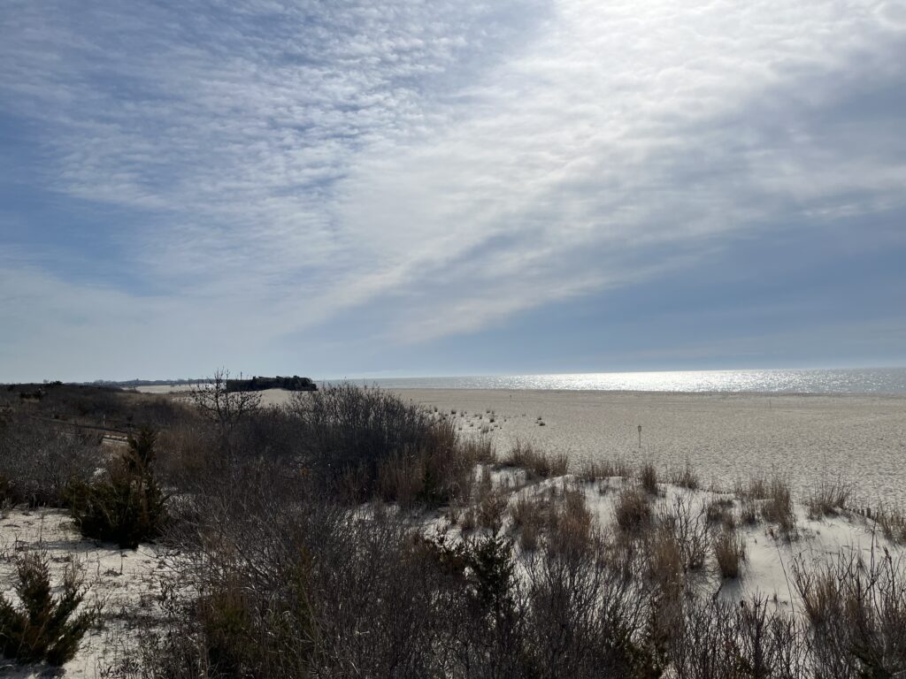 a field of dry grass (MyCoast AI)