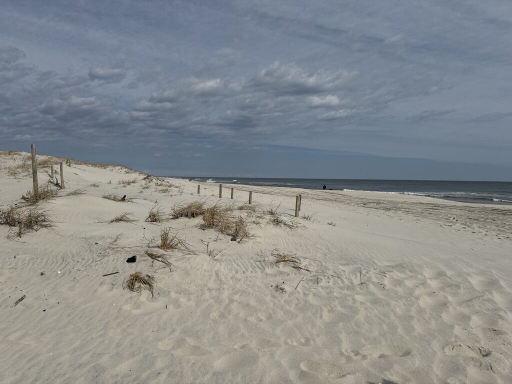 a sandy beach with a fence and water in the background (MyCoast AI)