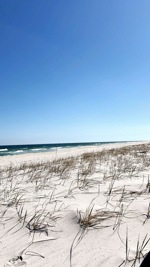 a beach with snow (MyCoast AI)