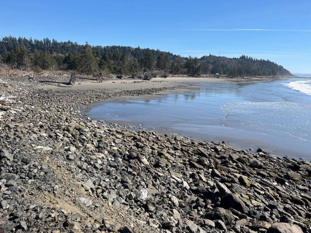 a rocky beach with trees in the background (MyCoast AI)