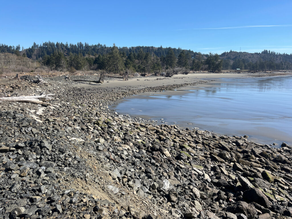 a rocky beach with trees in the background (MyCoast AI)