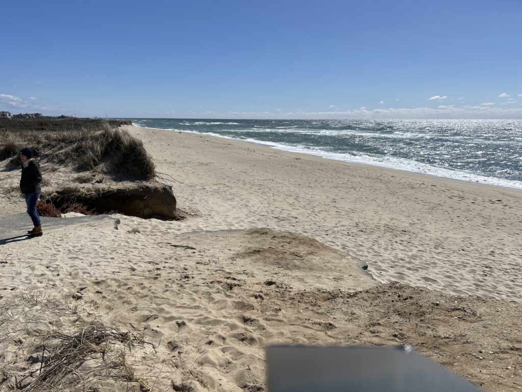 a person standing on a beach (MyCoast AI)