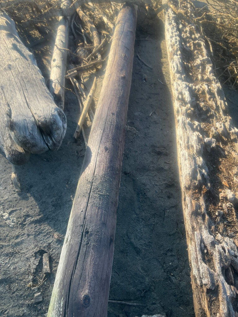 a close-up of some water (MyCoast AI)