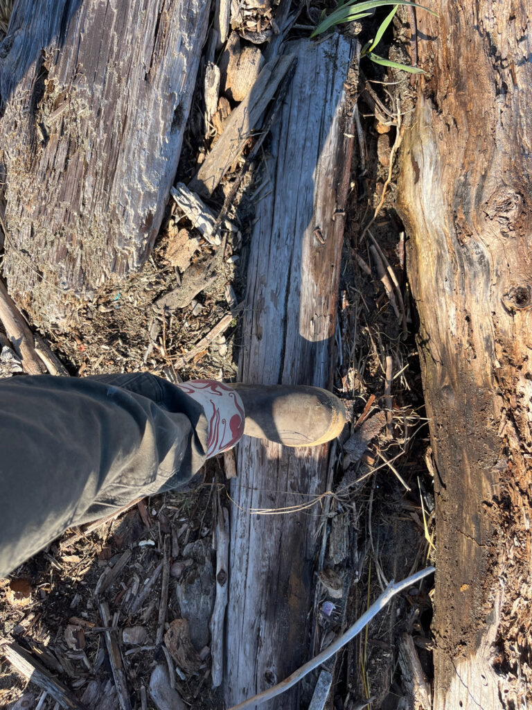 a person standing next to a tree (MyCoast AI)
