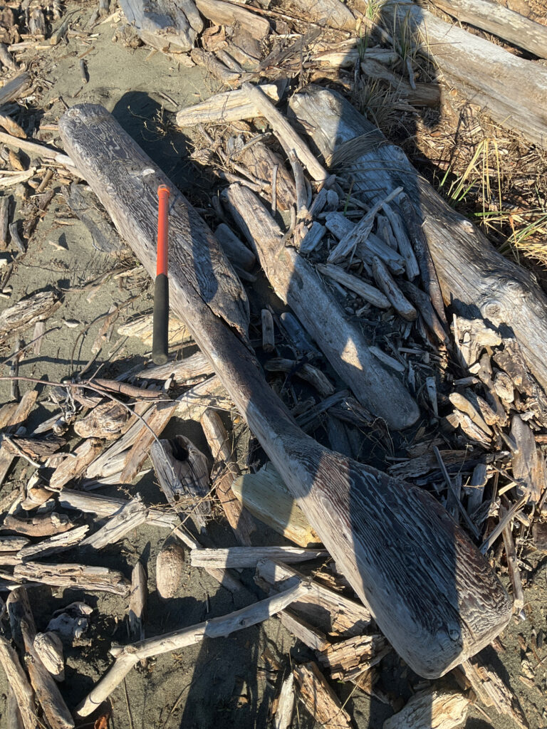 a pile of wood (MyCoast AI)
