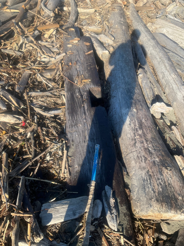 a group of logs (MyCoast AI)