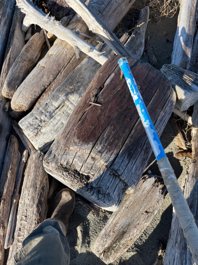 a blue and white baseball bat (MyCoast AI)