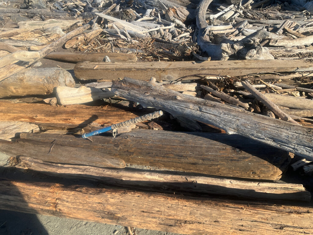 a pile of wood (MyCoast AI)