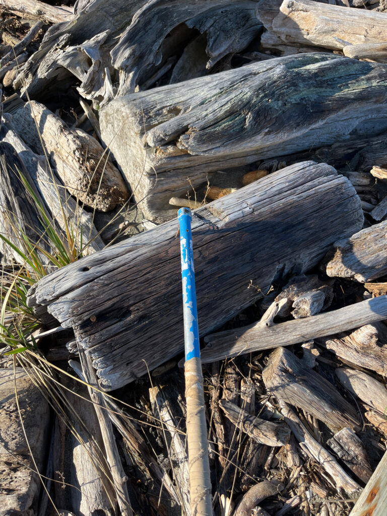 a blue stick in front of a pile of cut wood (MyCoast AI)