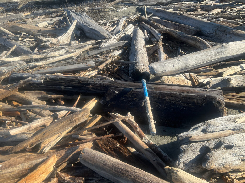 a pile of wood (MyCoast AI)