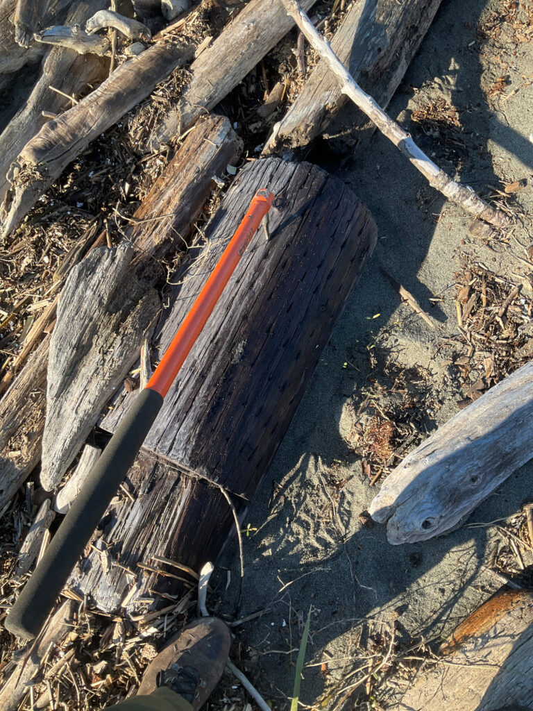 a wood axe on a pile of wood (MyCoast AI)