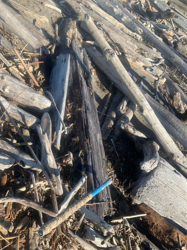 a pile of wood (MyCoast AI)